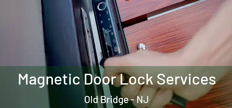Magnetic Door Lock Services Old Bridge - NJ