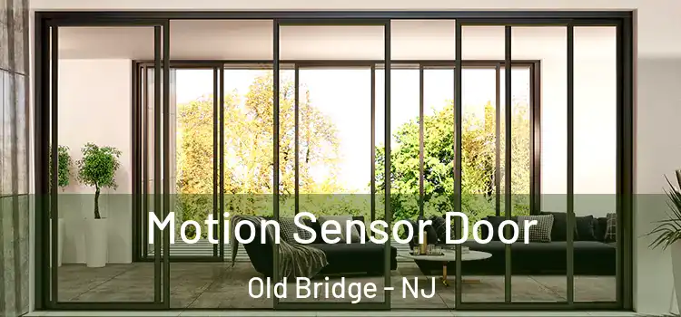 Motion Sensor Door Old Bridge - NJ